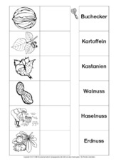 AB-Zuordnung-Wörter-Herbst-2-SW.pdf